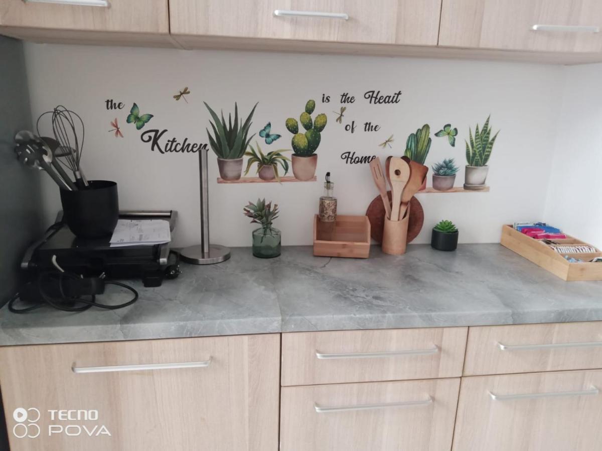 Grand Appartement Au Coeur De Strasbourg Bagian luar foto